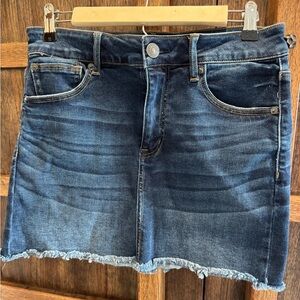 American Eagle Outfitters Dark Blue Denim Mini Skirt with Frayed Hem
